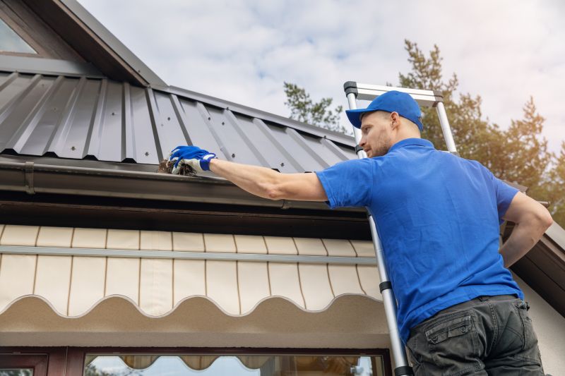 Specialized Gutter Maintenance Firms